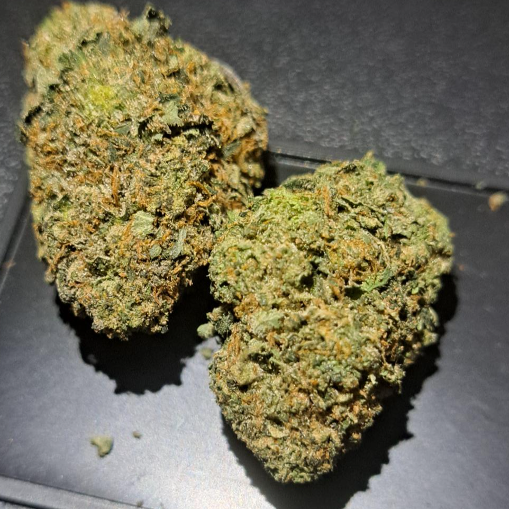 Pink Dawg