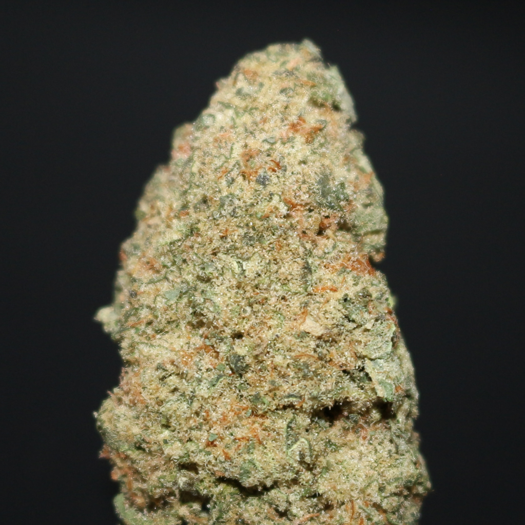 AAAA | CANDY PACK BY C.E. - 7G 