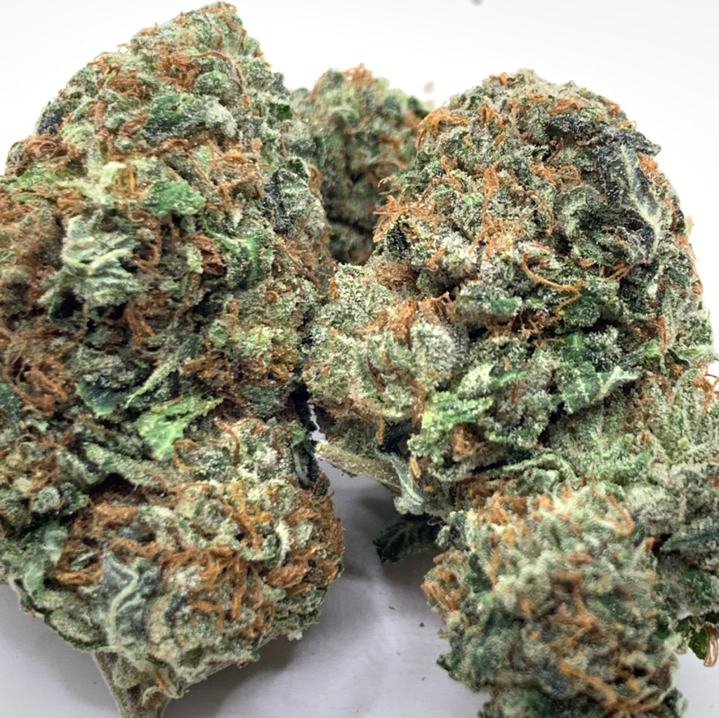 *NEW* Pink Champagne // 2oz for $160