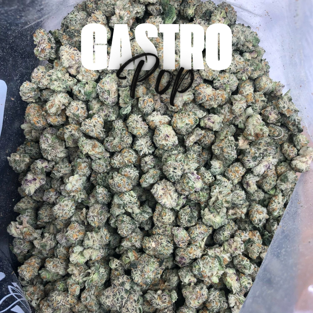 ( $100 OZ x QUAD ) GASTRO POP | 2 OZ $160