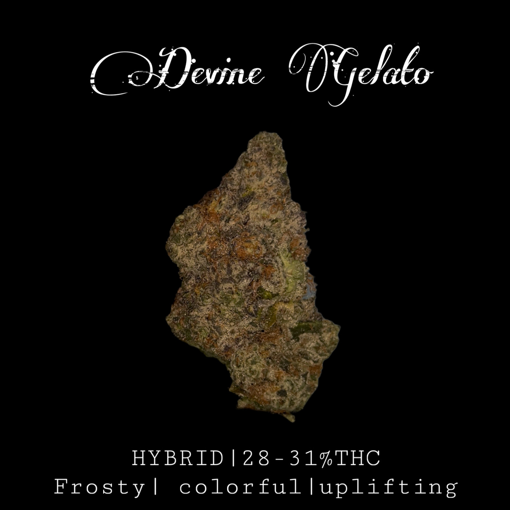 Devine Gelato🍨 HYBRID 28-31% THC $110 an oz, $160 for 2 ozs