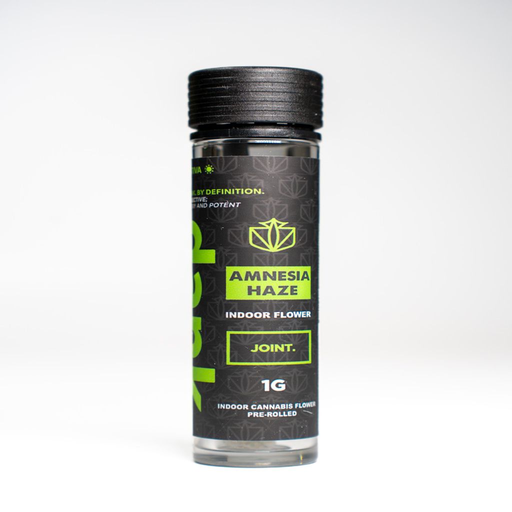 Amnesia Haze 1g Preroll | Dank