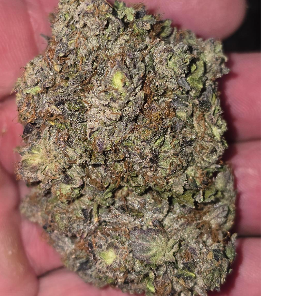 ORIGINAL CHEMO GAS 150OZ 2FOR280 4FOR540