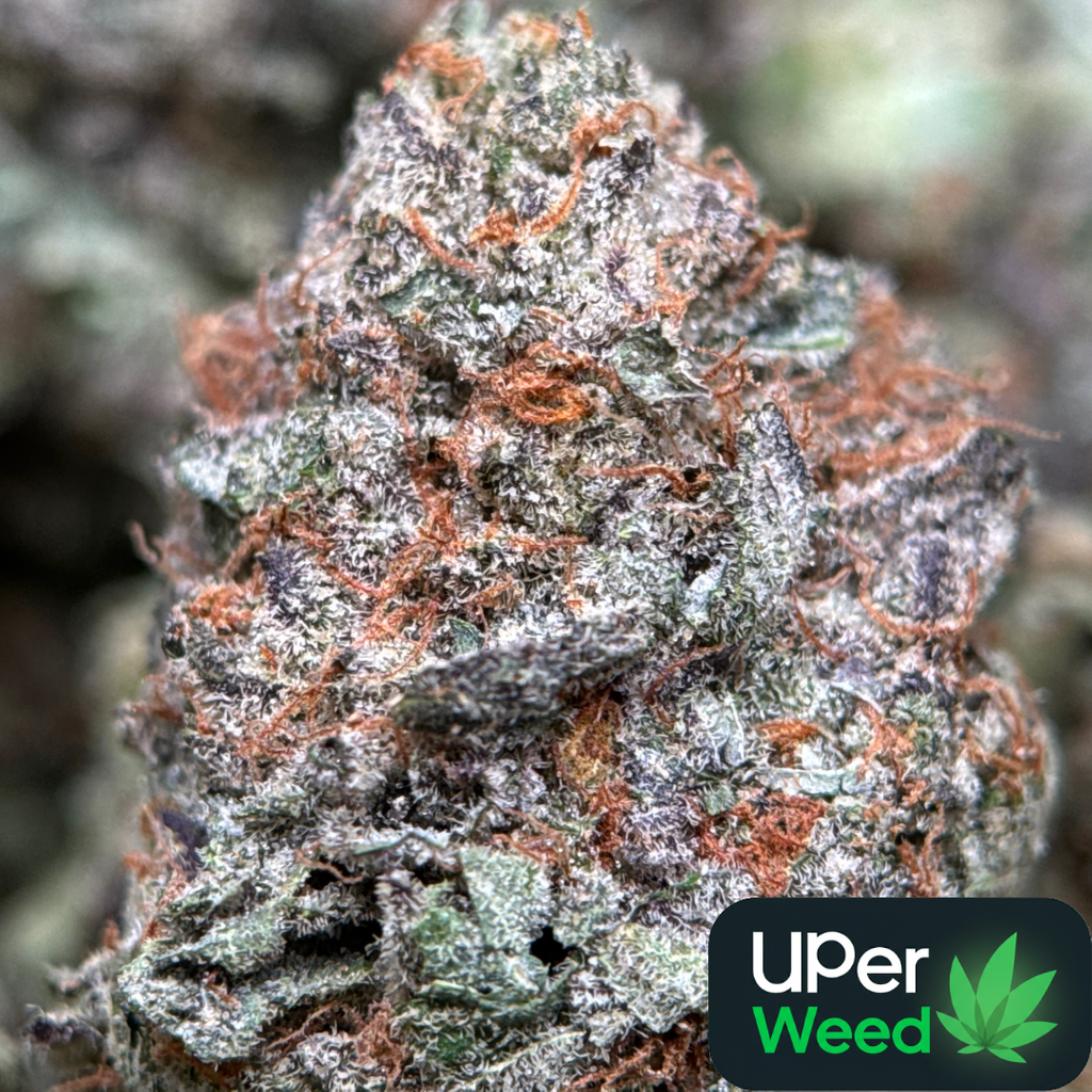 14G - Sweet Gas⛽️😮‍💨Indica | 2Oz Bulk Deal for $240