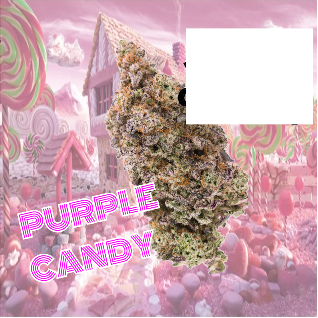 Purple Candy