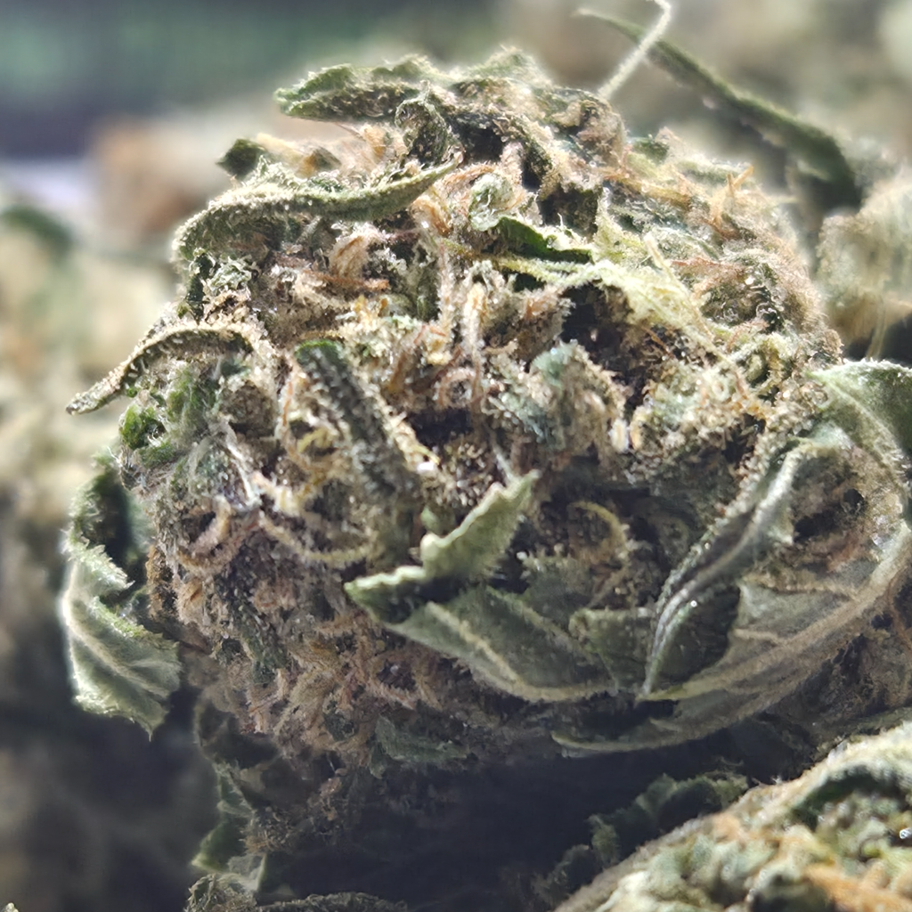 (NEW) Girl Scout Cookies 🍪 $45/Oz, $75 for two Oz) (OUTDOOR)