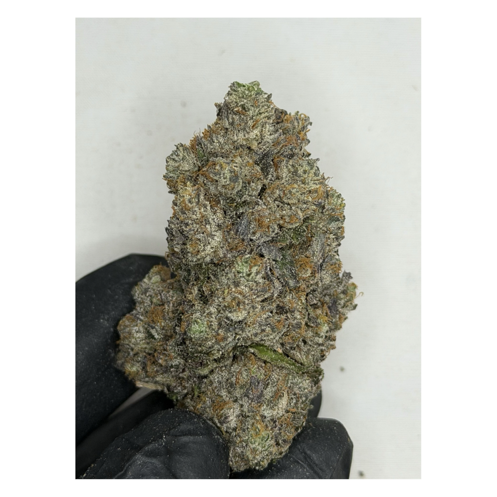 !$150/oz Greasy Pink "LIVING HARVEST"