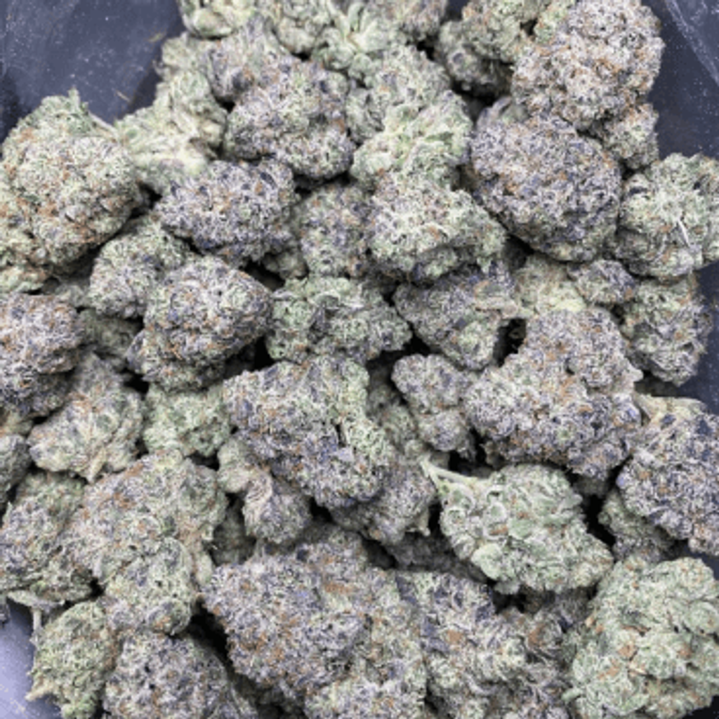 Gelato 41