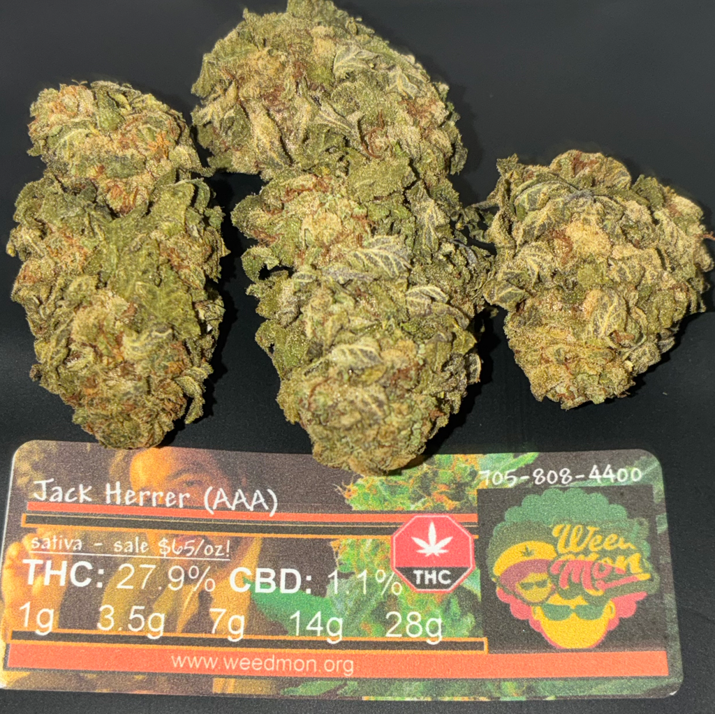 *********NEW $65/OZ* Jack Herrer (AAA) THC: 27% CBD: 1.0% 