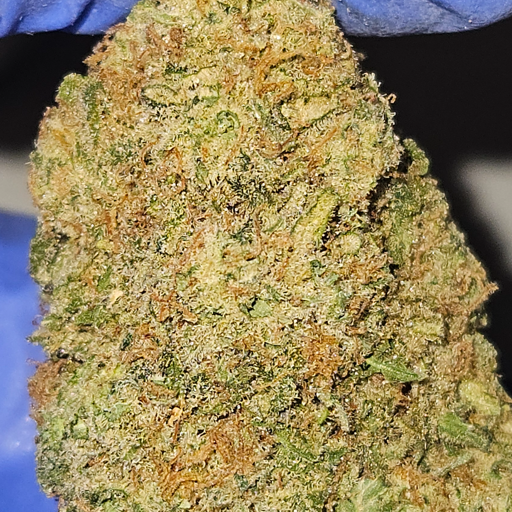 ☆HIGH QUADS EXOTIC☆ DIAMOND RUNTZ 32%THC SATIVA AAAAA