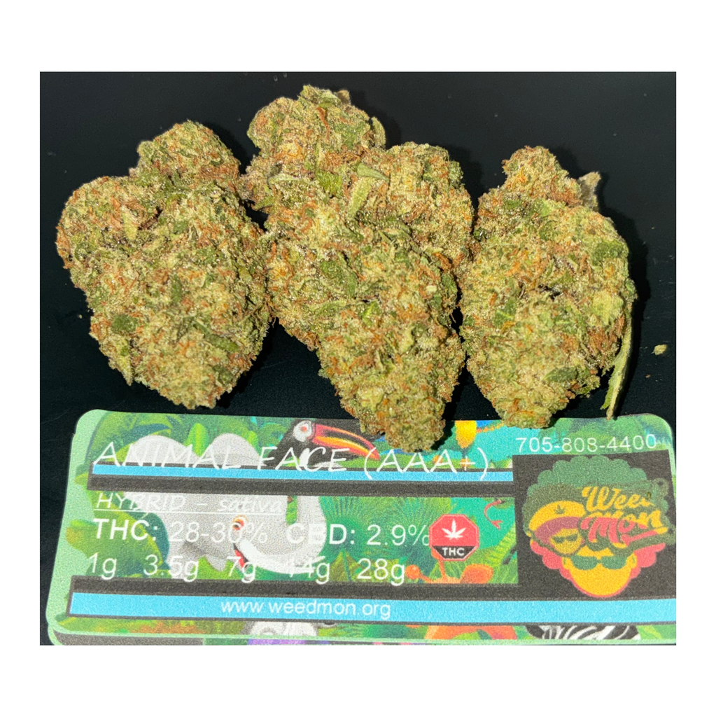 **********NEW* Animal Face (AAA+) THC: 28-30% CBD: 1.0%