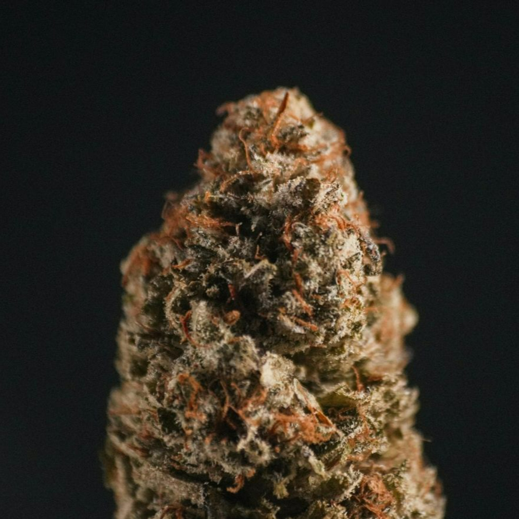 How Easy Is It to Order Cannabis Delivery in Ajax Right Now?