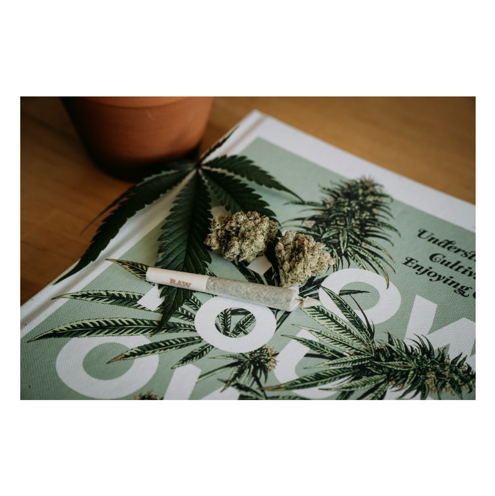 Best Weed Delivery in Oshawa - Top 5 Providers