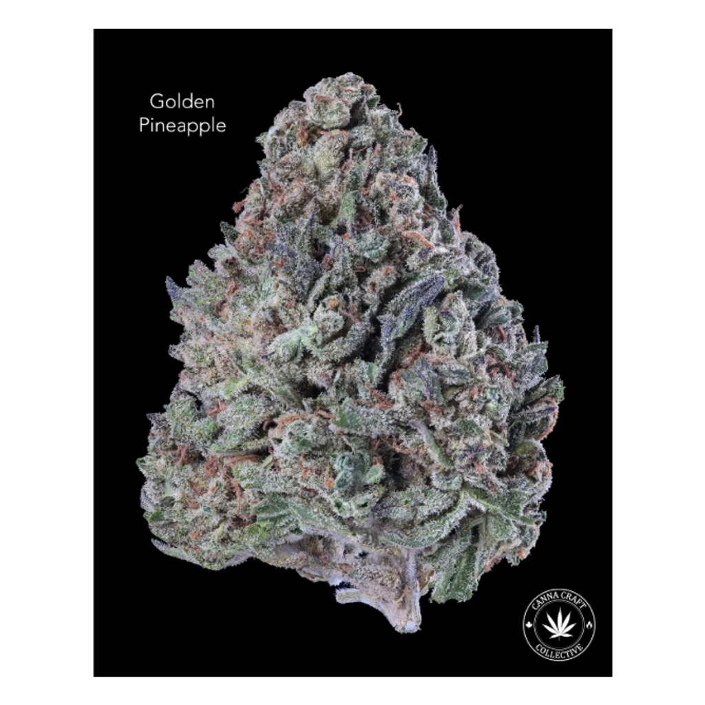 AA - GOLDEN PINEAPPLE