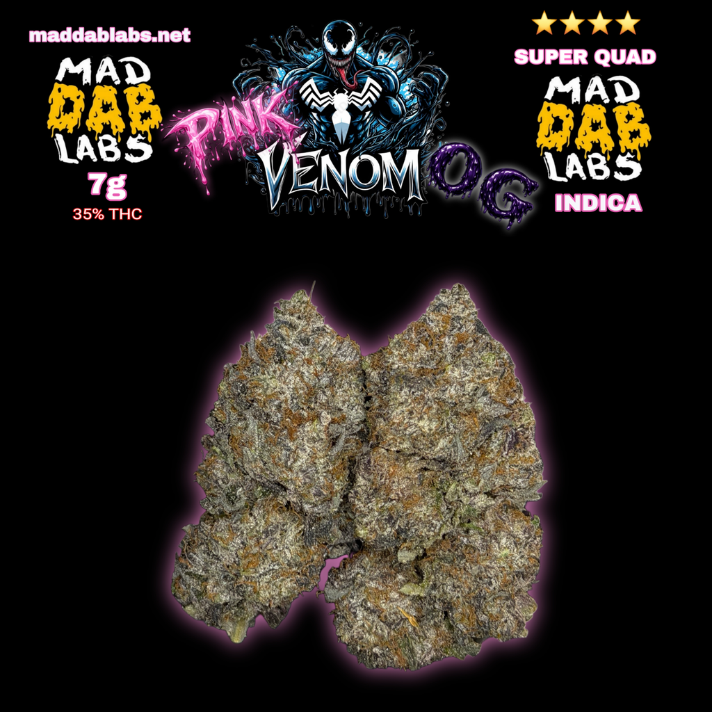 PINK VENOM OG - GROWN BY MAD DAB LABS🔥🔥🔥🔥🔥