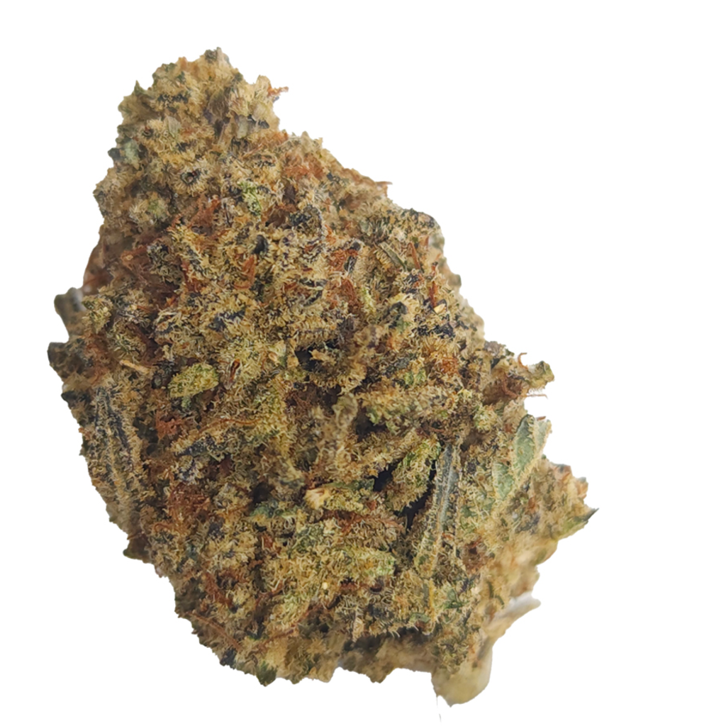 BC (AAAA) BLUE PETROL