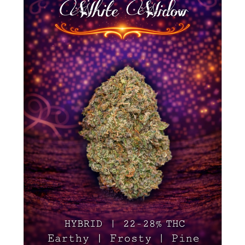 4/20 special | White Widow 🕷️🕸️ 22-27% THC | HYBRID | $50 an oz | $75 for 2 ozs | $130 for 4 ozs | $220 for 8 ozs | 