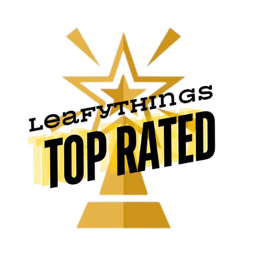 Who Is The Top-Rated Business On Leafythings?