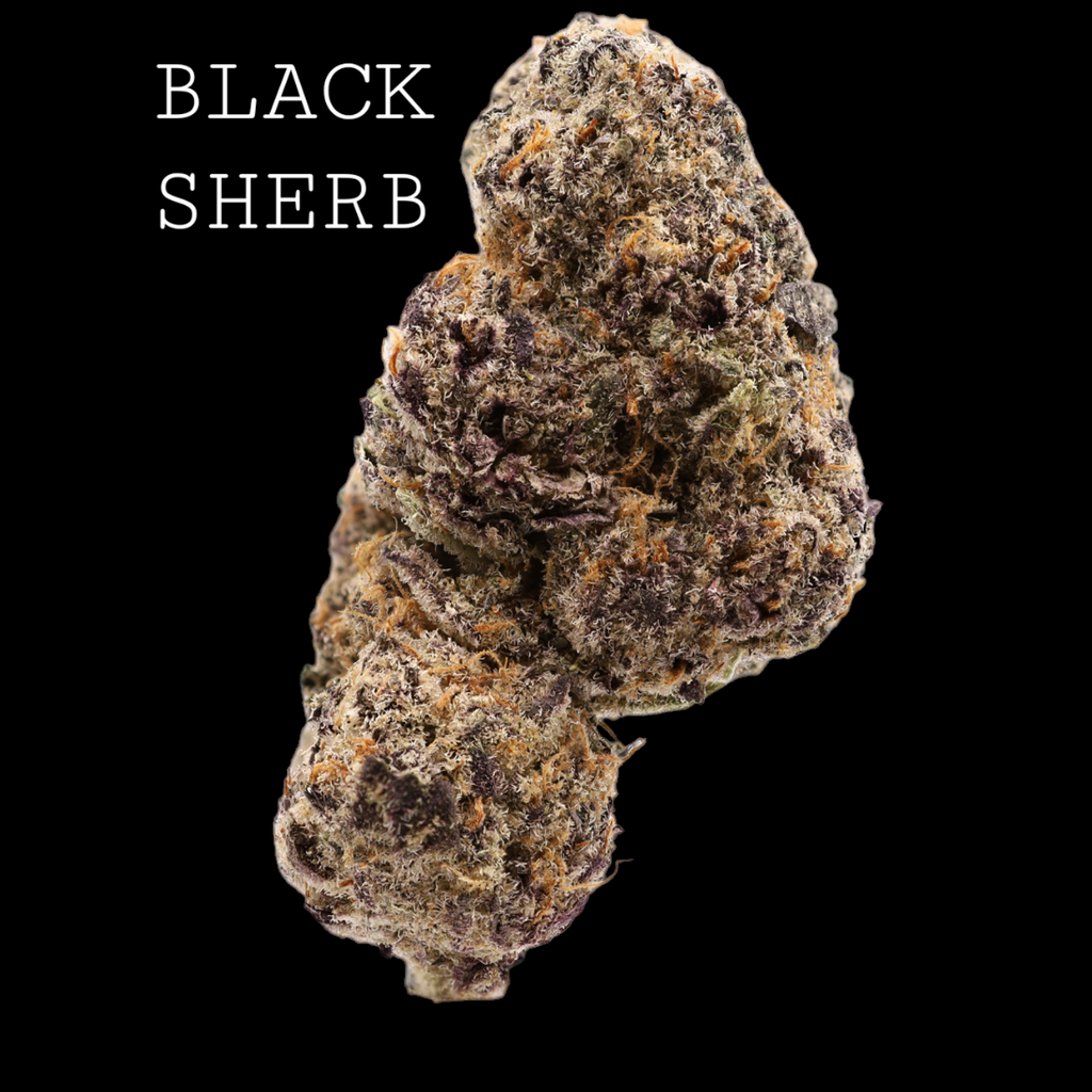 BLACK SHERB