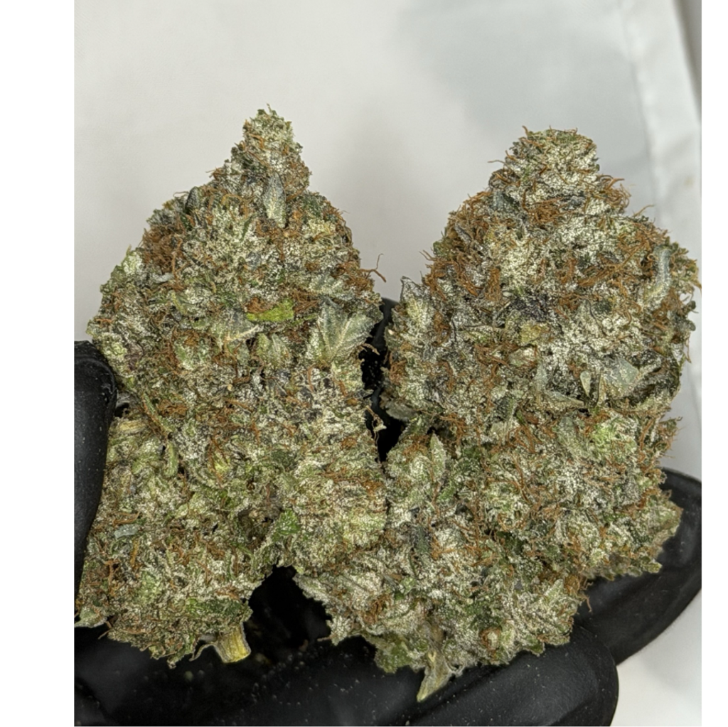 !$110/oz Pinky and the brain
