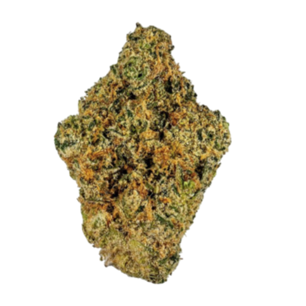 (INDICA) Gas Mask