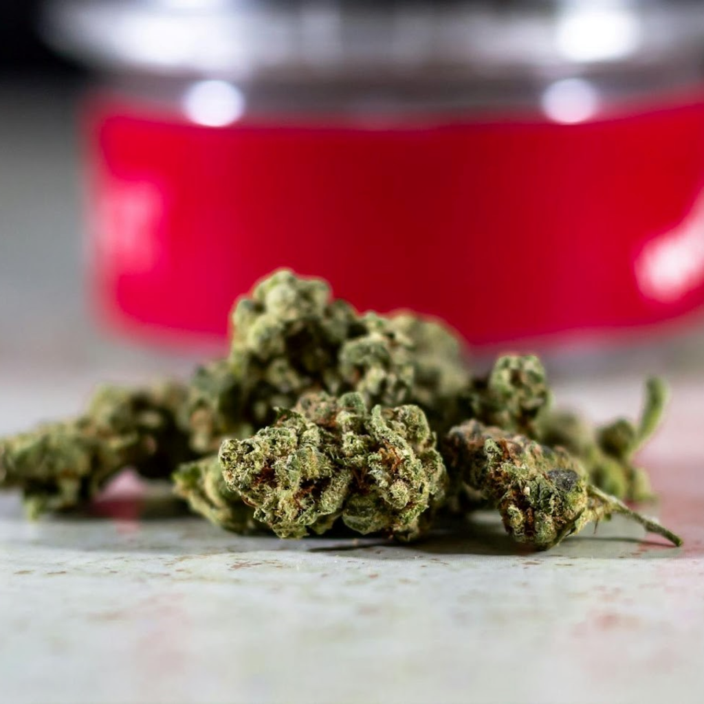 Weed Delivery in Toronto and the Best Areas for Quick Service