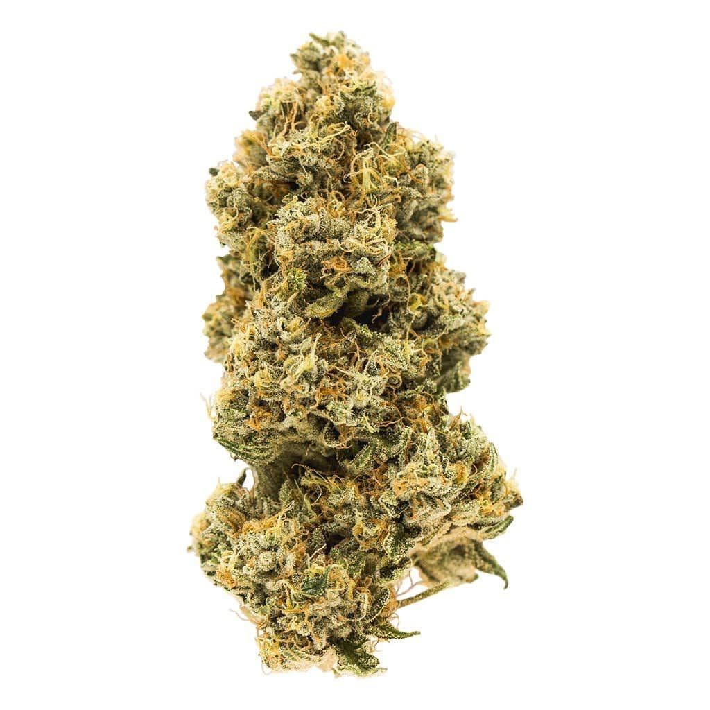 Animal Face 14g <br>Sativa <br>28.85% THC | 2.41% CBG <br>3.26% Terps