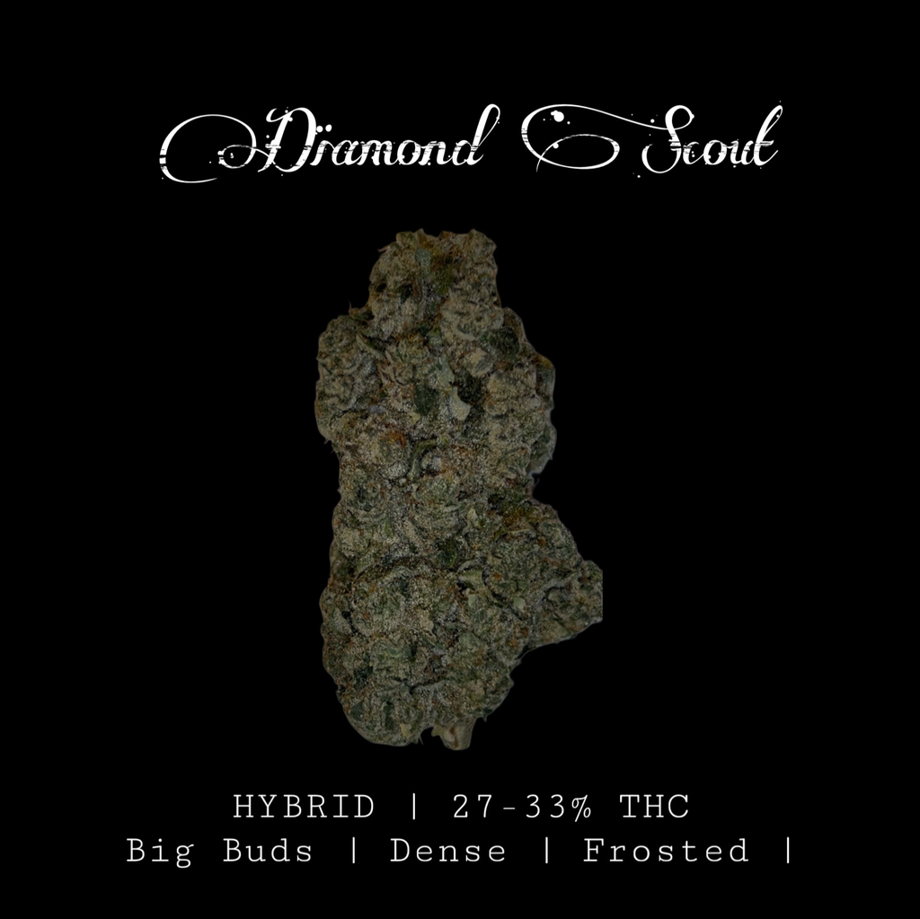 Diamond Scout 💎 27-33% THC  $120 an oz | $180 for 2 ozs