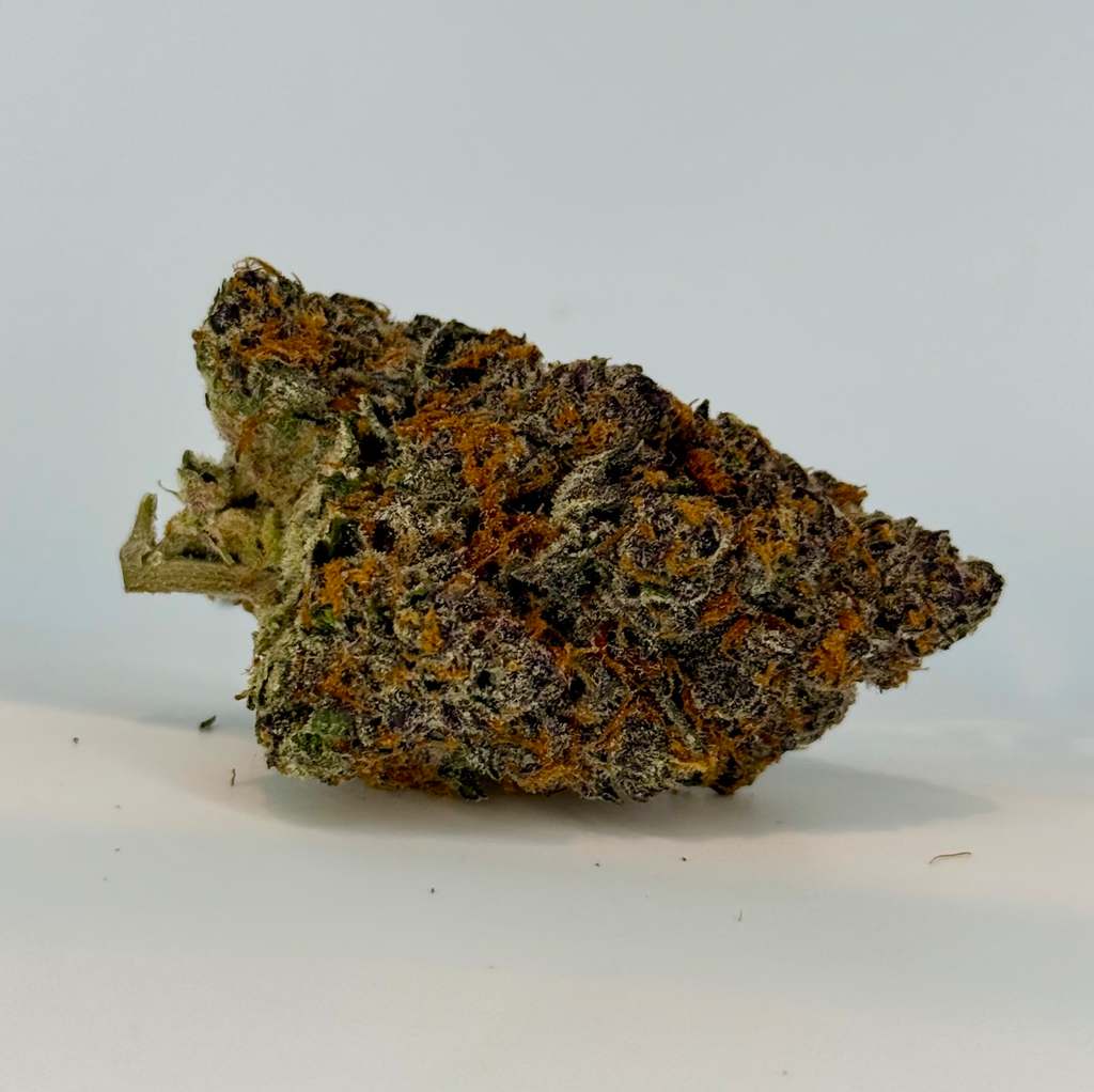 Topshelf Exotic: Agent Tangie