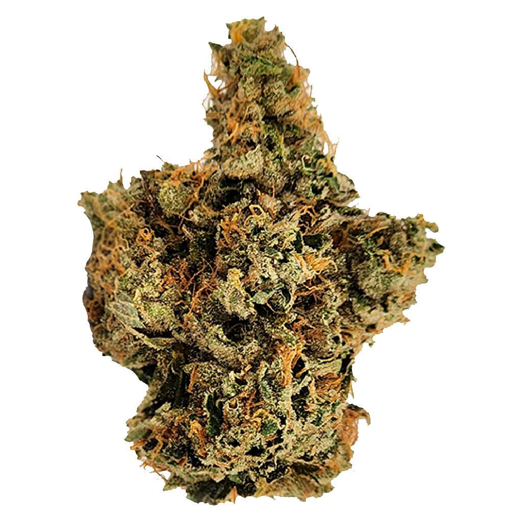 Tres Dawg x I-95 7g <br>Indica <br>31.7% | 2.55% Terps
