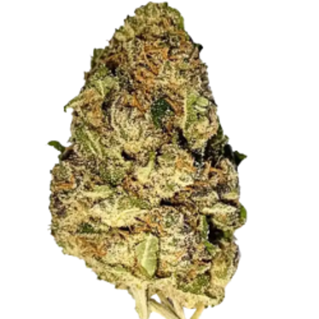 $OUNCE DEAL - ORYOZ - AAA