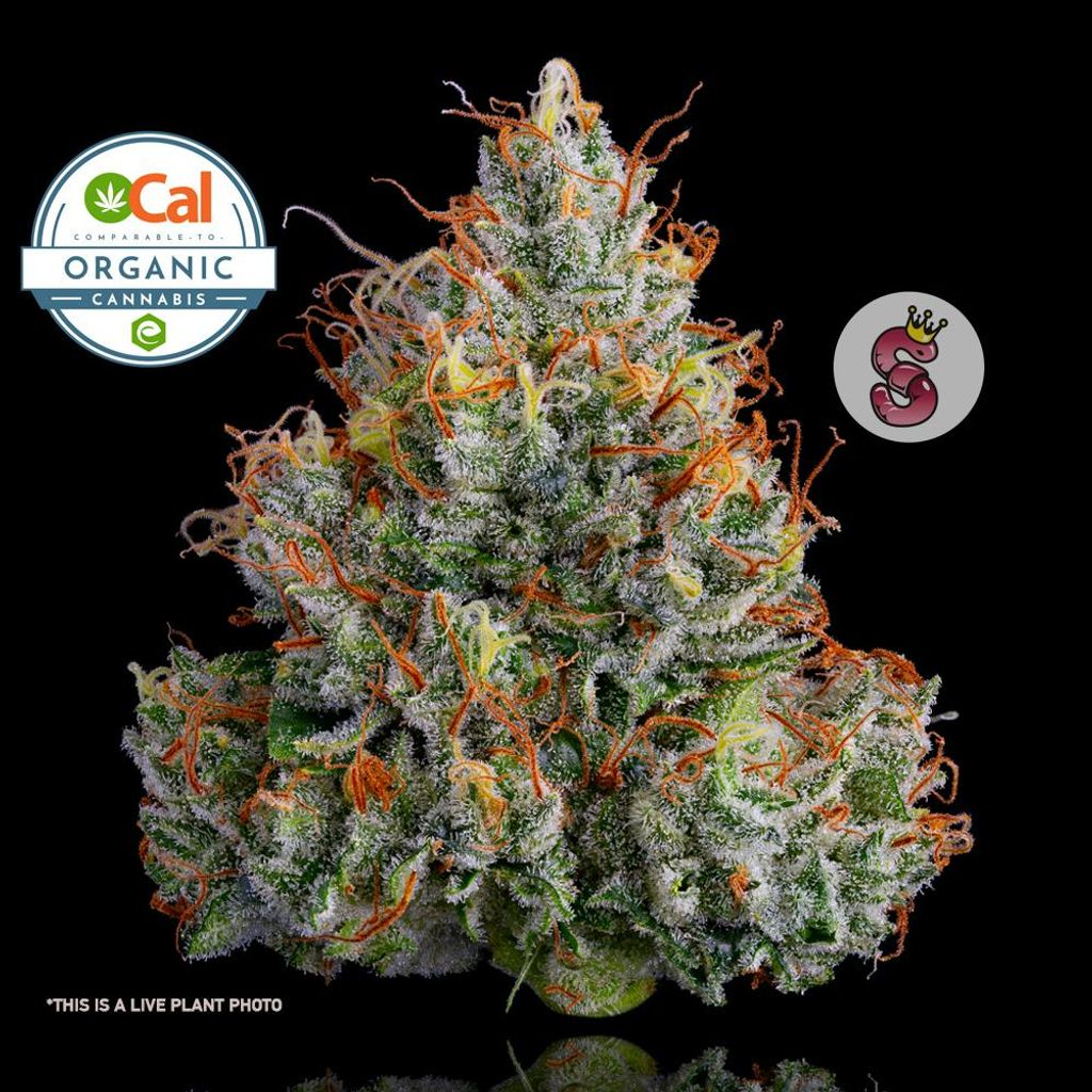 Lemon Banana Sherbert