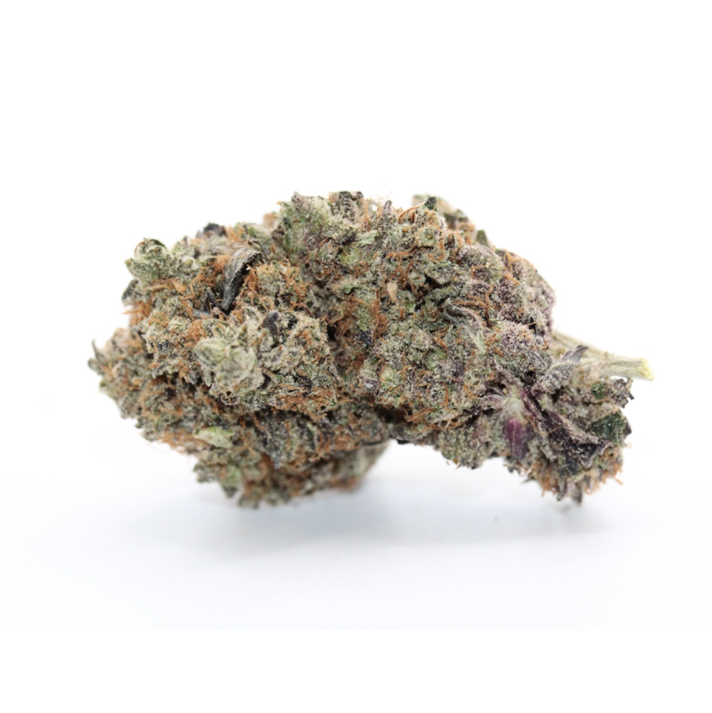 Black Tuna HYDROPONIC 🔥 Premium AAAA+ ⛽️⛽️