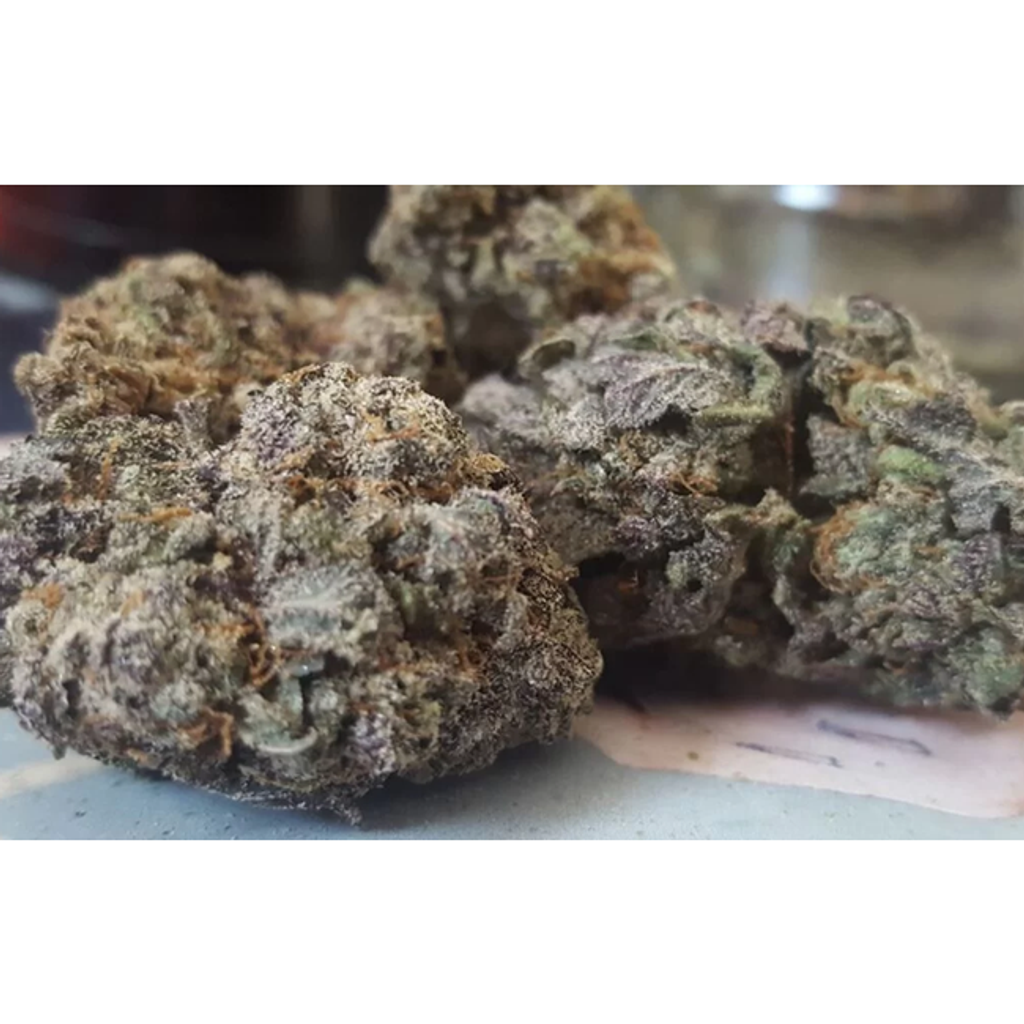 Blue Fin Tuna x Pink GAS ⛽️ 75$ OZ