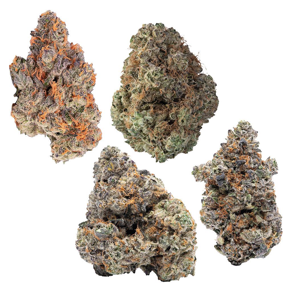 Cookies - 4 Cultivar Flower Pack - Hybrid