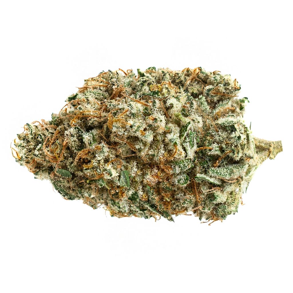 Soar - Alien Fuel - Hybrid