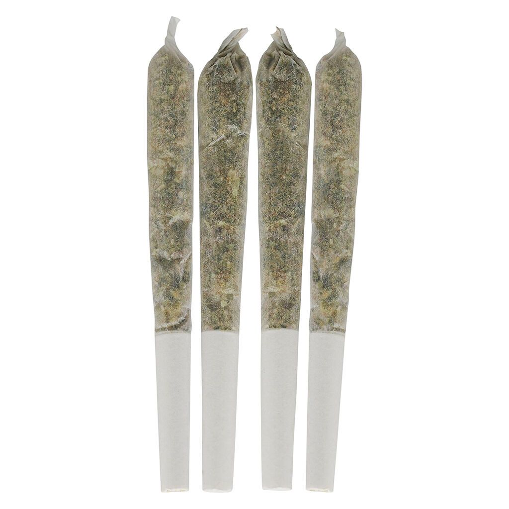 Dime Bag - Tropical Pocket Puffs Prerolls - 4x0.5g Sativa