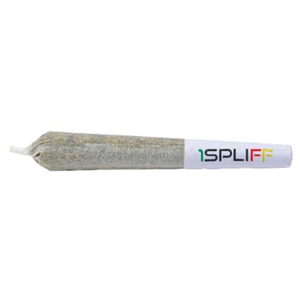 1Spliff - Orange Rntz Pre-Rolls - 7x0.5g Hybrid Pre-Rolls