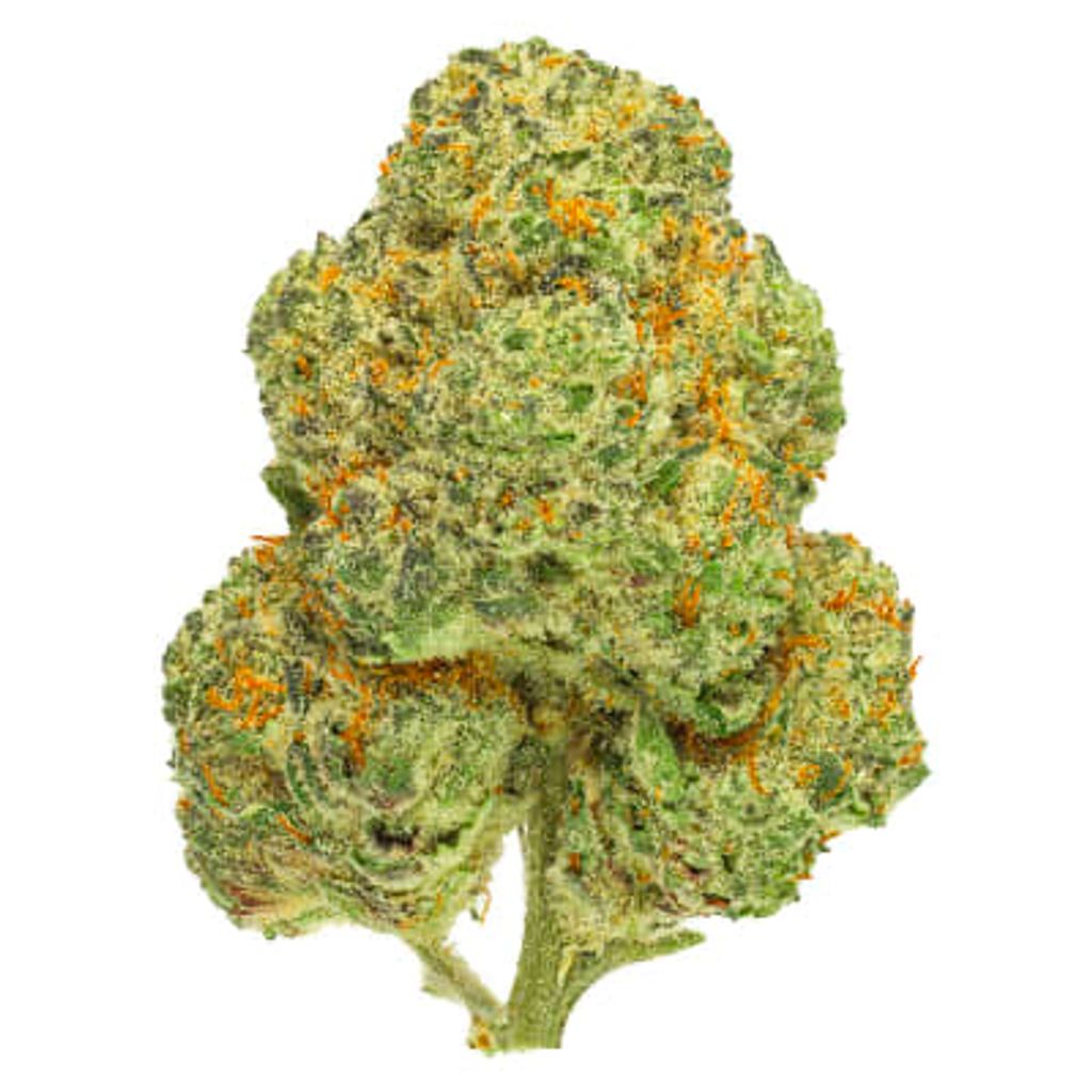 San Rafael '71 - Chemango Kush - Chemango Kush Dried Flower