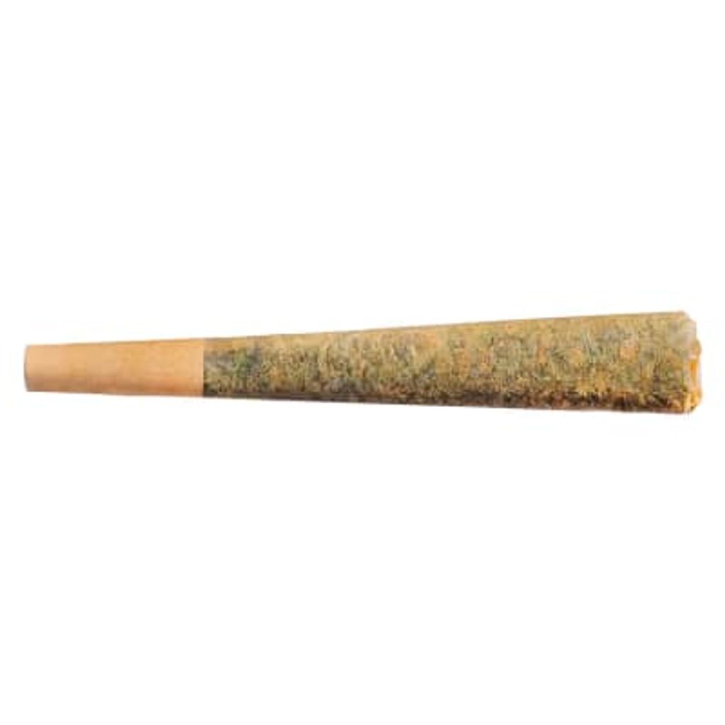 Night Rider Pre-Roll | 0.5g