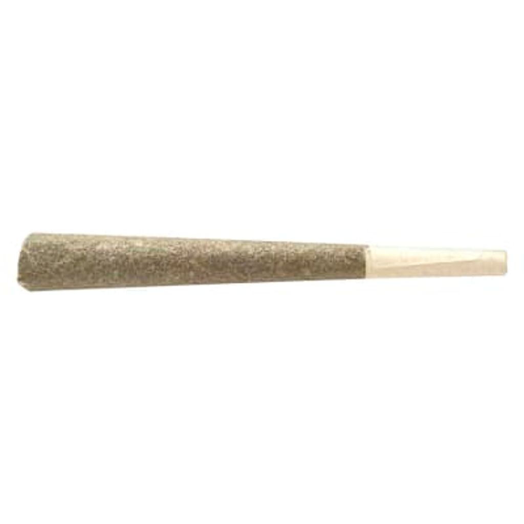 CELEBRITY - Raptors Rntz Pre-Roll - 1x1g Indica
