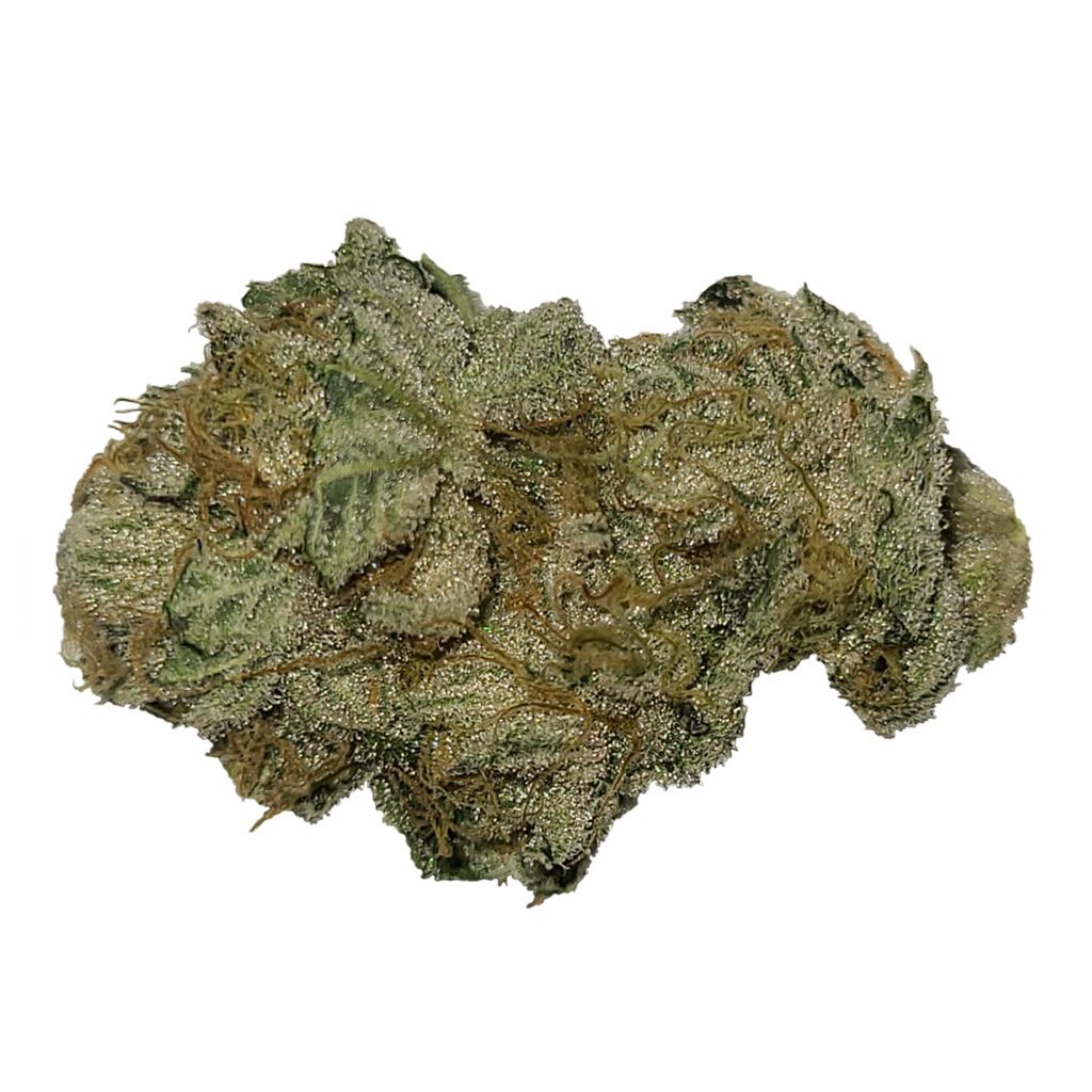 Homage - Desi - Sativa