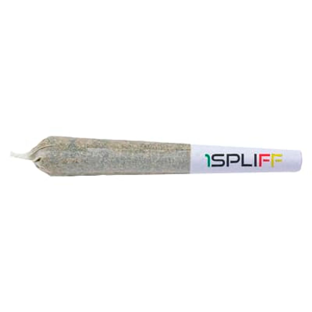 1Spliff - Caddy Mega Sampler Pack - 12x0.5g Indica + Sativa Pre-Rolls