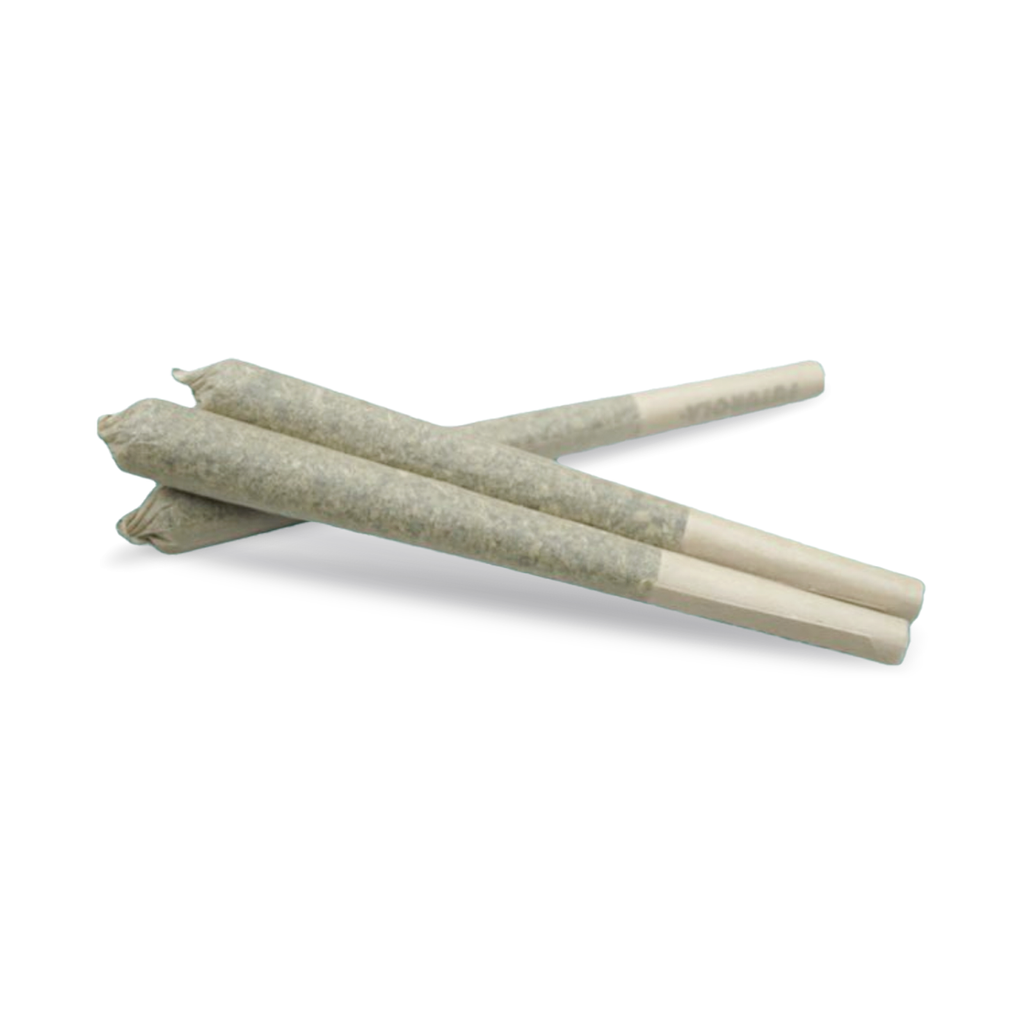 Animal Cookies Pre-Roll 3-pack | 1.5g