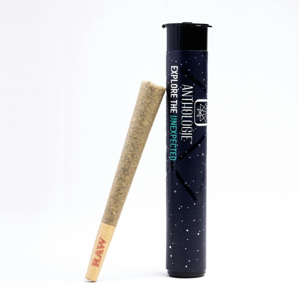 Anthologie - JMO - Pre-Roll - 1g