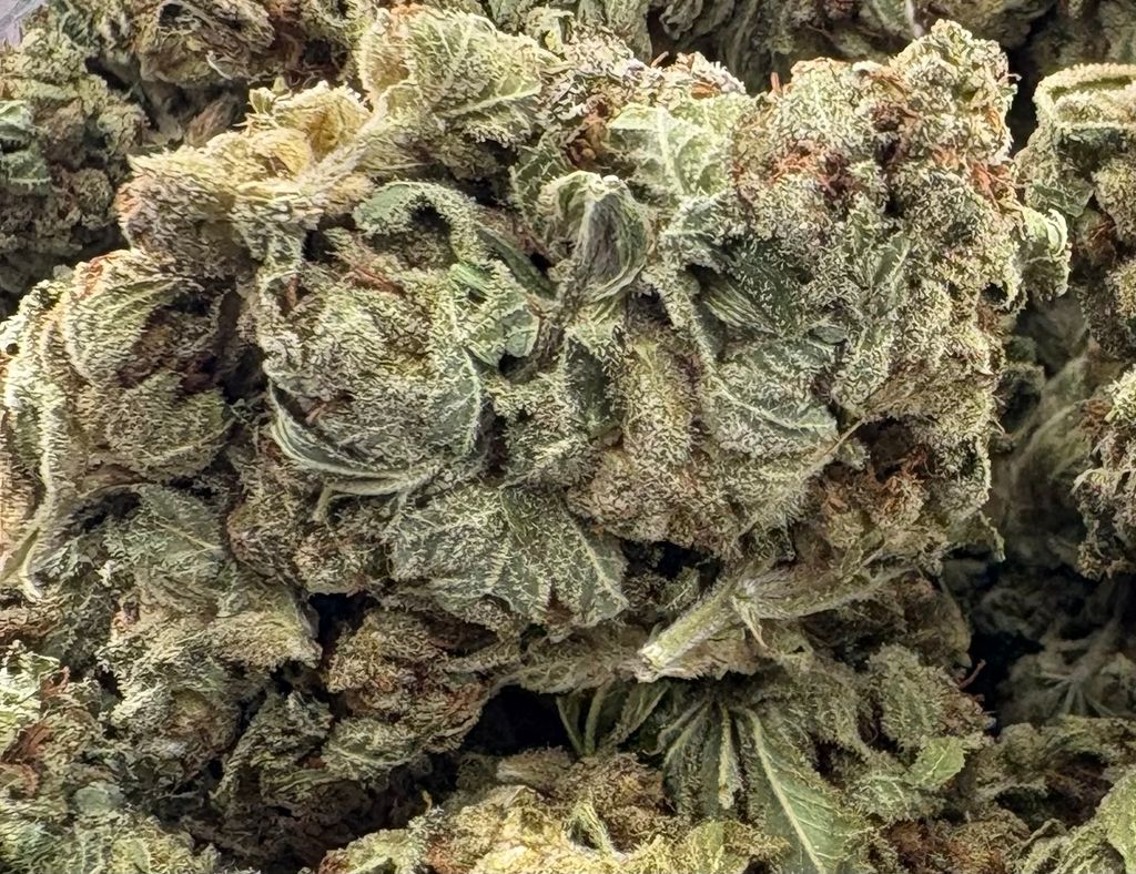 14g -GELATO - (AAA)