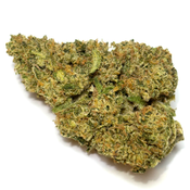$100 Oz — Hindu Kush (New)