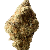 ********Animal Cookies