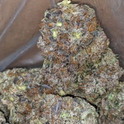 BC Death Bubba AAAA+ 30.33%thc (Can’t be taken as FREE one) 