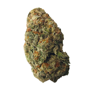 BC (AAA)  WHITE SKUNK thumbnail 2